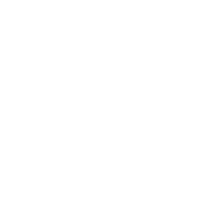 Young Director Award